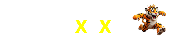 5x5x
